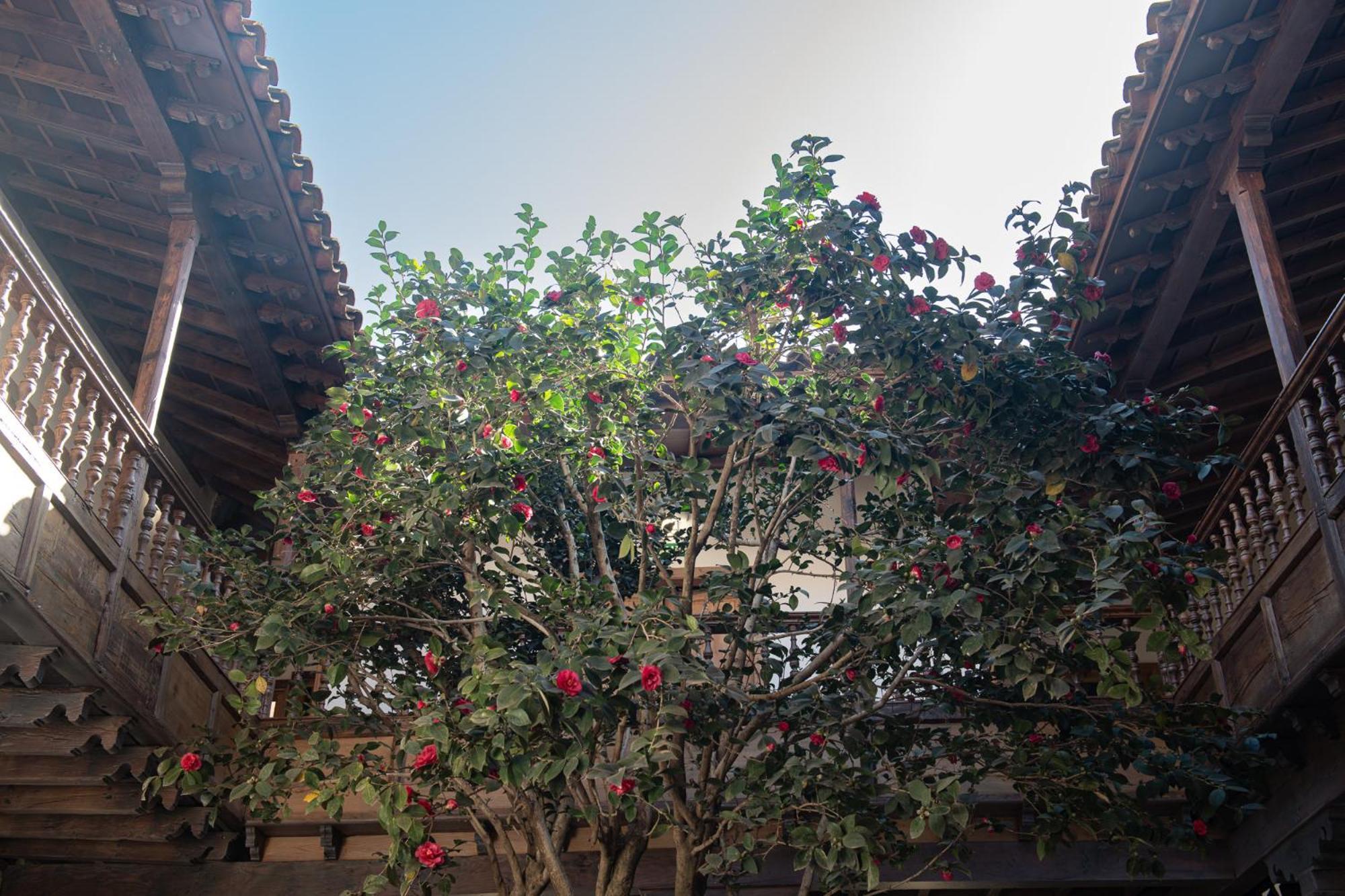 La Casa De La Camelia Hotel Las Lagunas Exterior photo